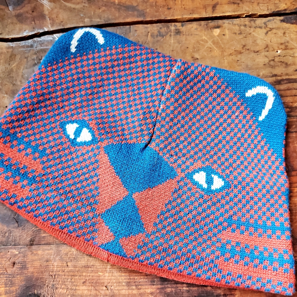 Patagonia Kids' Blue and Red Patterned Beanie